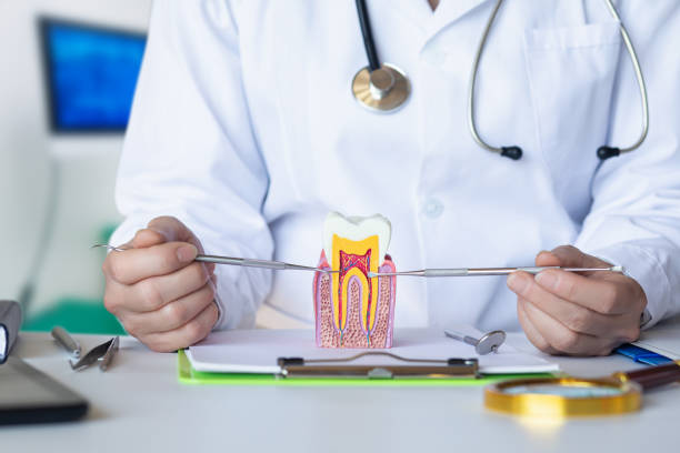 Best Emergency Wisdom Teeth Removal in Brookside, AL